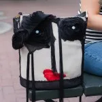 iBag2 red lips on bench