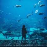 RedBalloon RedBalloon