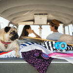 Budget Car Rental Budget Car Rental