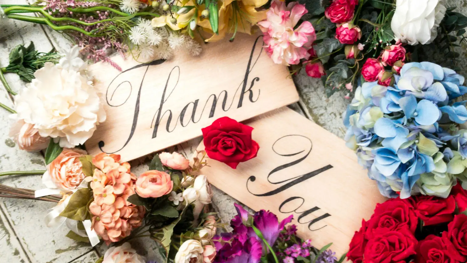 Where to buy "thank you" flowers online in Australia | Finder