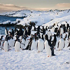 People doing an expedition