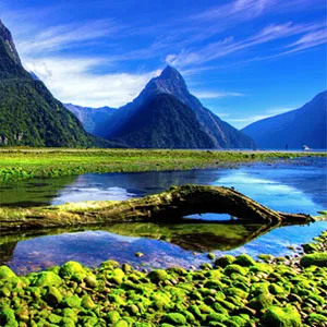 Best time to visit New Zealand for weather and prices | Finder