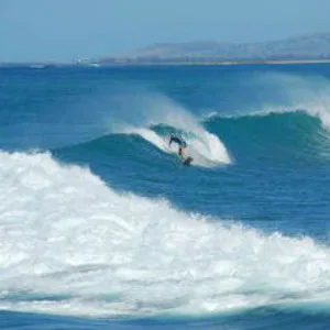 HawaiiGoSurfing