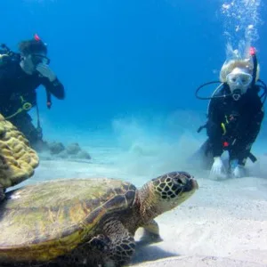 HawaiiLearntoScuba