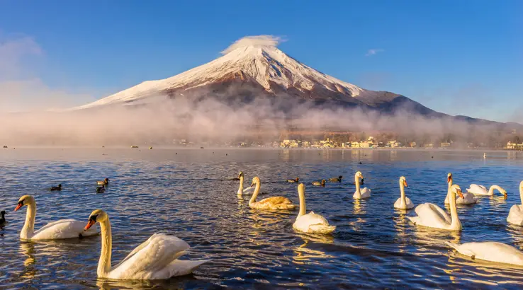 shutterstock fuji lake yamanaka japan 738x410