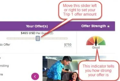 hawaiian airlines upgrade auction interface