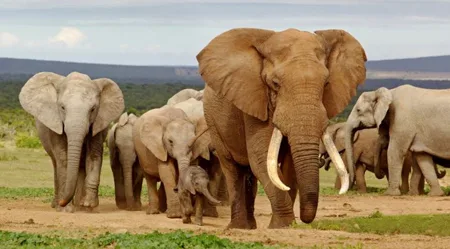 South Africa holiday deals for April 2021