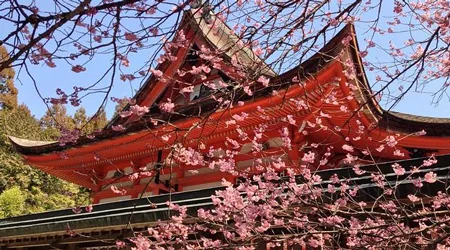 Latest Tokyo holiday deals