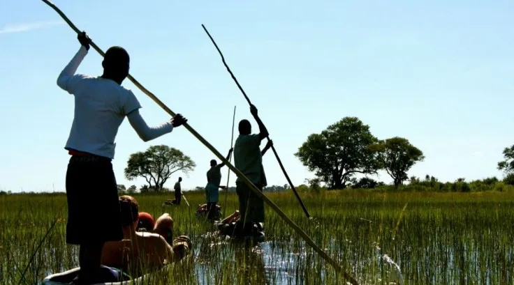 g adventures nat geo botswana canoe