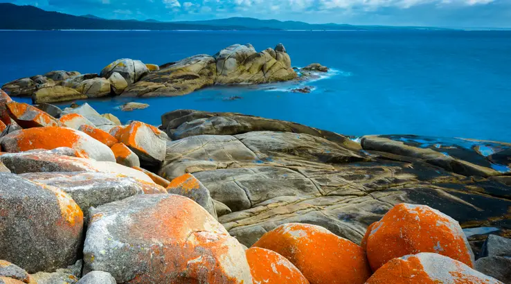 shutterstock bay of fires tasmania australia 738x410