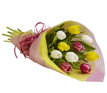 Order tulips online: Flower delivery Australia-wide | finder.com.au