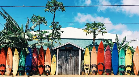 hawaii-photo-1500520198921-6d4704f98092-450 hawaii-photo-1500520198921-6d4704f98092-450