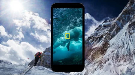 nat-geo-app-feed nat-geo-app-feed