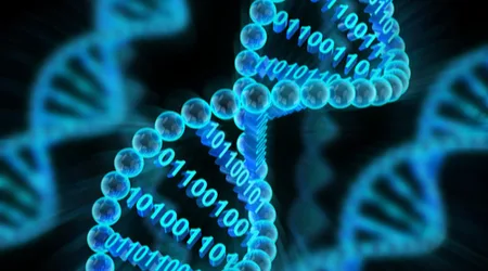 How Cardano’s latest update makes it easier to fairly valuate ADA