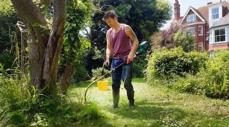 Best Lightweight Whipper Snipper 