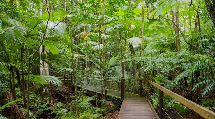 Three new and improved Qantas Queensland points options ...