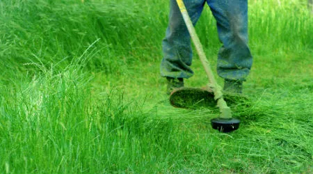 Best whipper snippers in Australia 2020