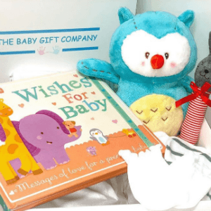 the baby gift company