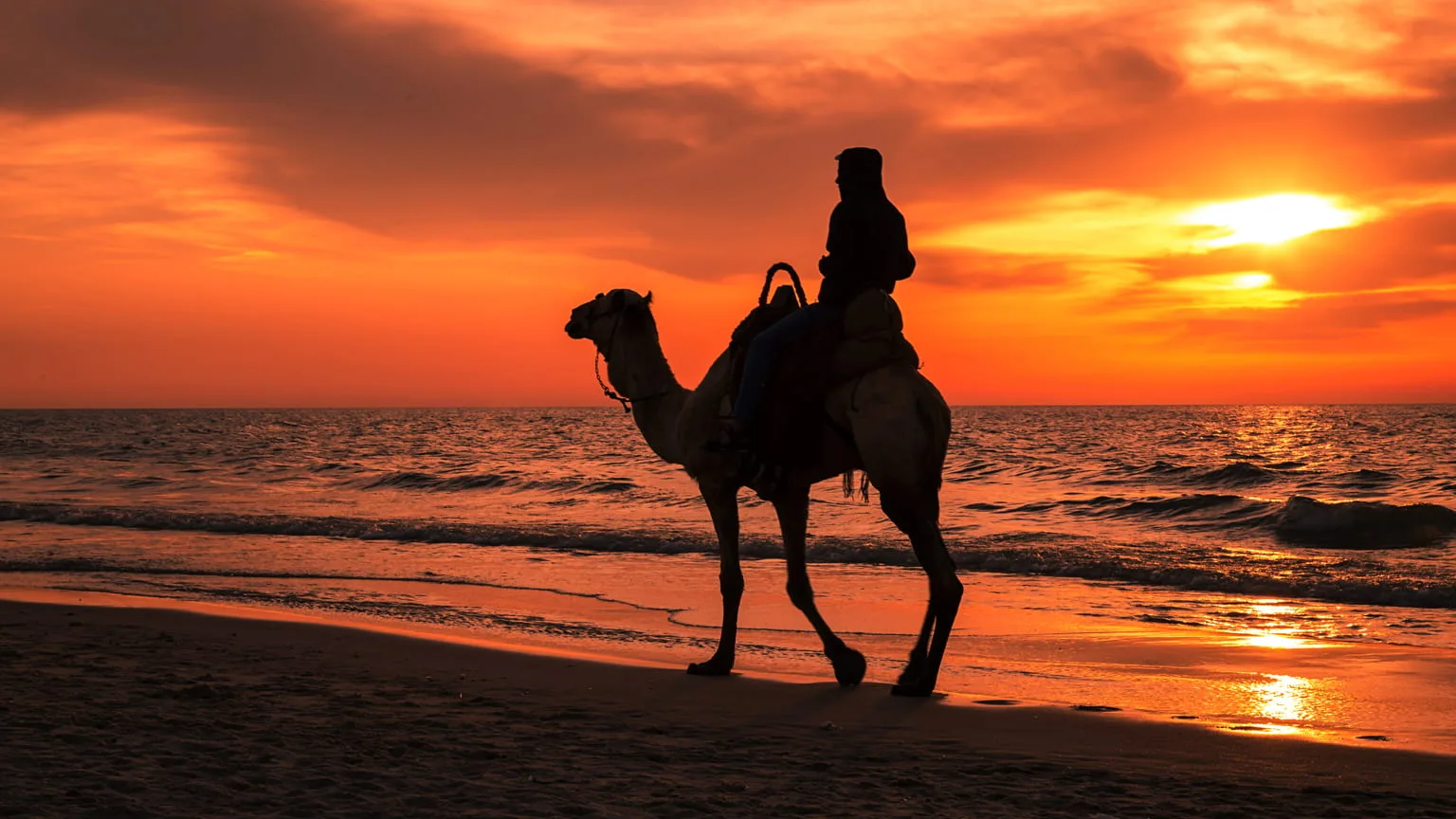 Image: Shutterstock A Silhouette photo of Man Riding Camel At Sunset, Gaza beach