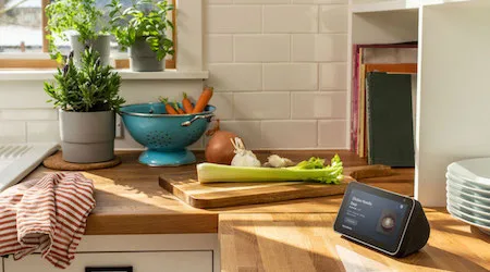 Amazon Echo Show 5 review: The most appealing Echo Show so far