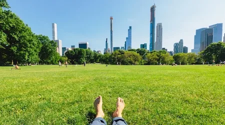 Ask Finder: What does carbon neutral mean?