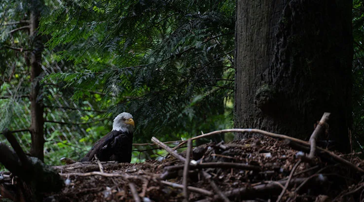 Portland, Oregon travel guide A couple of travel makers