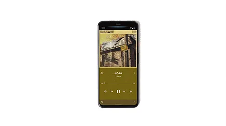 Pixel4_Supplied_450x250 Pixel4_Supplied_450x250