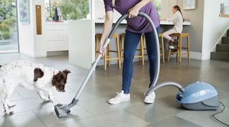 Barrel vacuum cleaner Finder: How to find the right model for your home