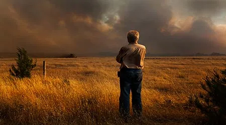 Big Four banks announce bushfire relief packages