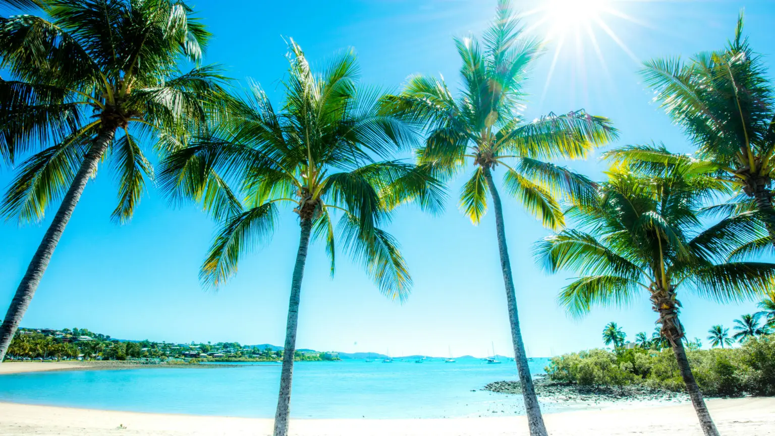 Image: Getty Images Beach in the Whitsundays