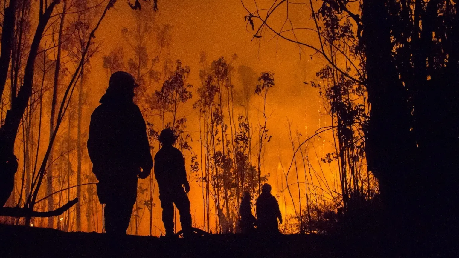 Crypto Bushfire Fundraiser Donate Cryptocurrency Finder