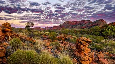 Cheap Alice Springs flights to book in 2020