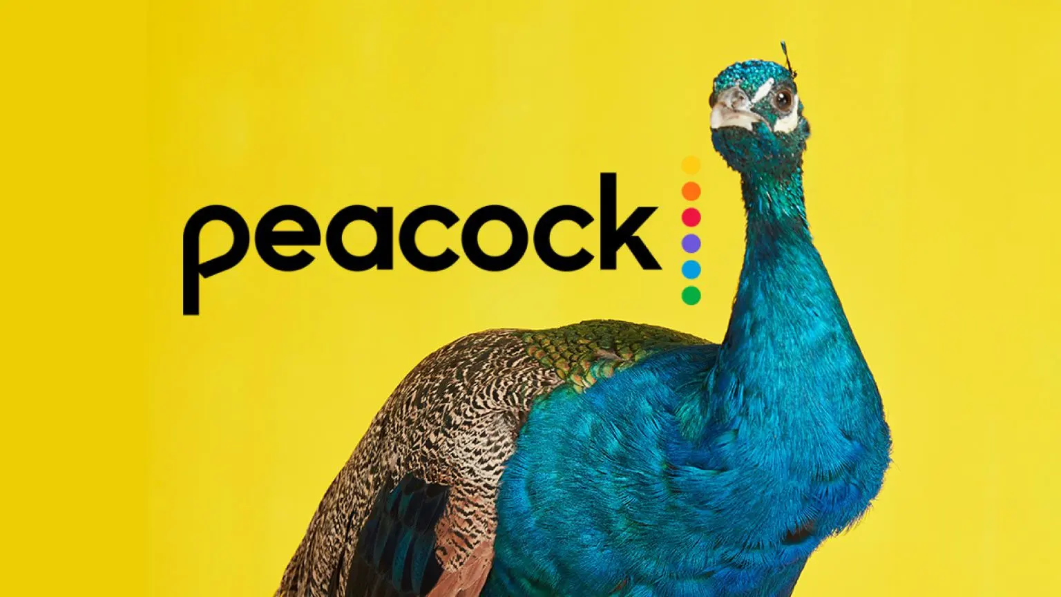 How to watch Peacock TV in Australia Finder