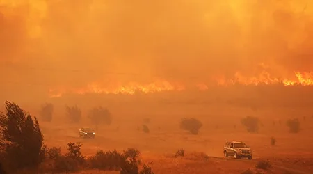 Bushfire Survival Plan