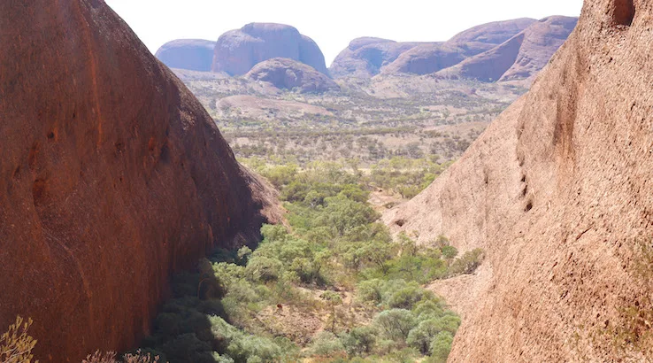 Image: Old Mate Media Uluru with Kids 3