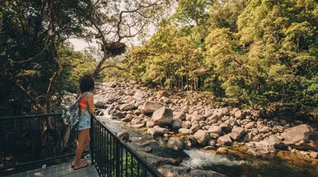 Top 8 eco-friendly lodges and resorts in the Daintree Rainforest and Queensland for 2021