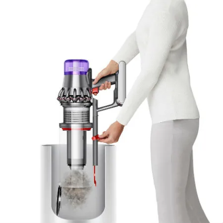 v11 dyson outsize homeowners