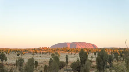 Coronavirus in the Northern Territory: Financial help and advice