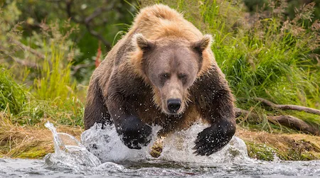 ETFs that are beating the 2020 market crash