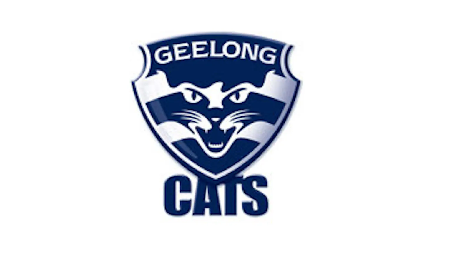 2021 Afl Preview Geelong Cats Team Guide Finder