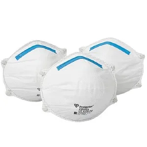 Image: bunnings p2masks