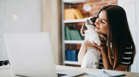 Best frequent flyer and rewards credit cards April 2020