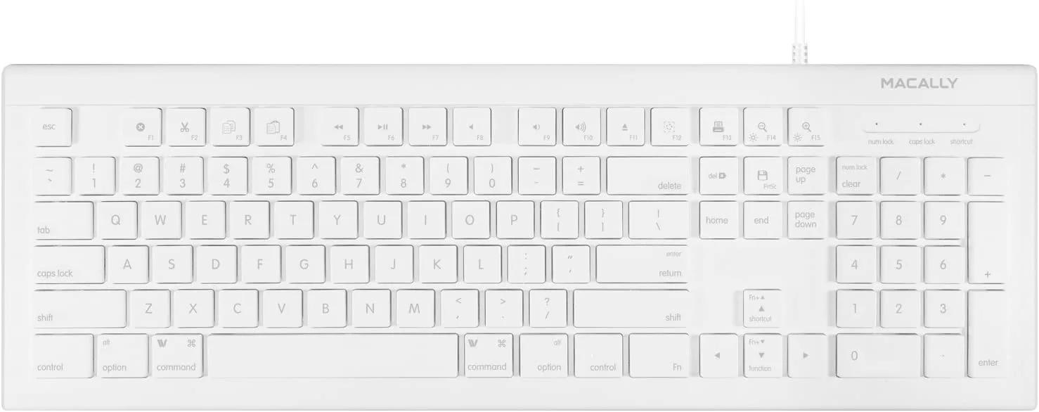 Image: ebay dual monitor