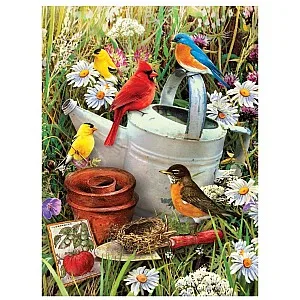 Image: fishpond paint by nymbers