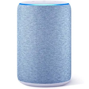 cheap Amazon Echo