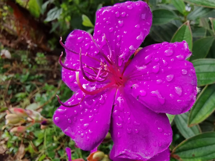 Image: Finder Nubia Z20