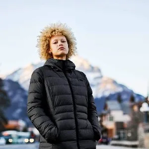 Image: the north face winter