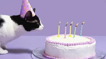 Turned 31 recently? It’s time to decide about health insurance