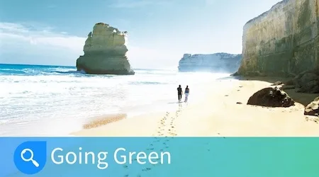 Going Green: Trace
