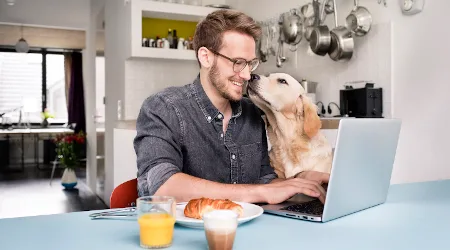 Smiling man with dog using laptop in kitchen at home Smiling man with dog using laptop in kitchen at home